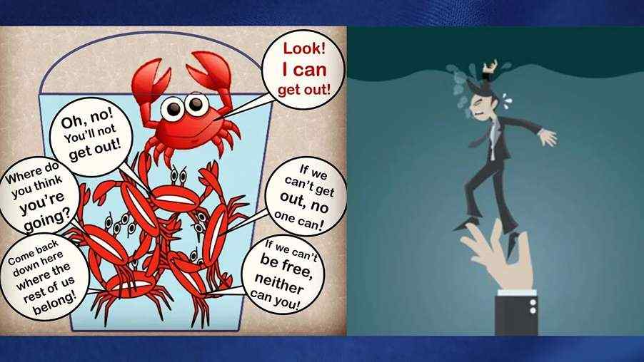 Read more about the article Perilaku Crab Mentality dan Tips Menghadapinya